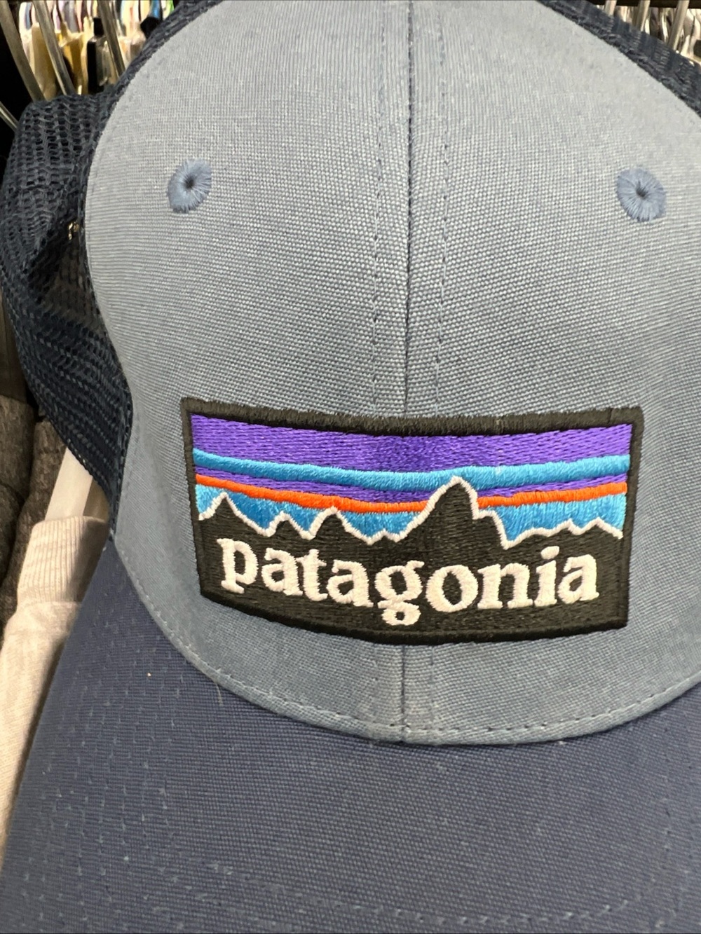 Patagonia Trucker Hat in Blue with Multicolor Logo